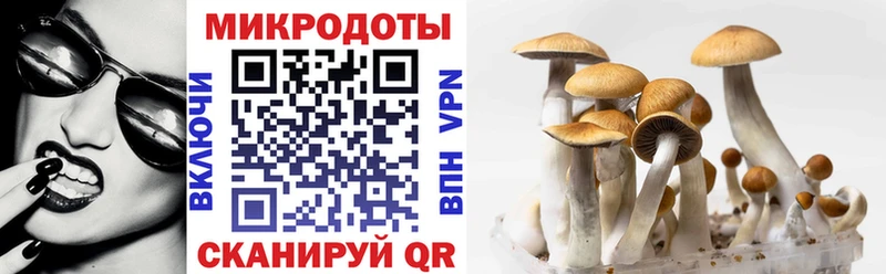 Галлюциногенные грибы Cubensis  Купить  Звенигово 